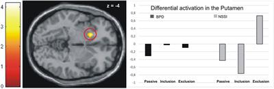 Differential Neural Processing of Social Exclusion and Inclusion in Adolescents with Non-Suicidal Self-Injury and Young Adults with Borderline Personality Disorder